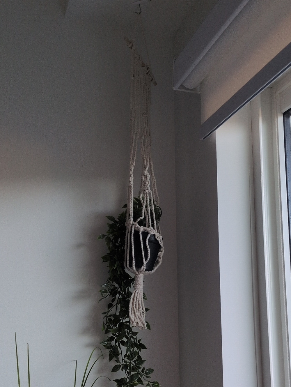 Handmade Macrame Hanging Plant Holder in Cream